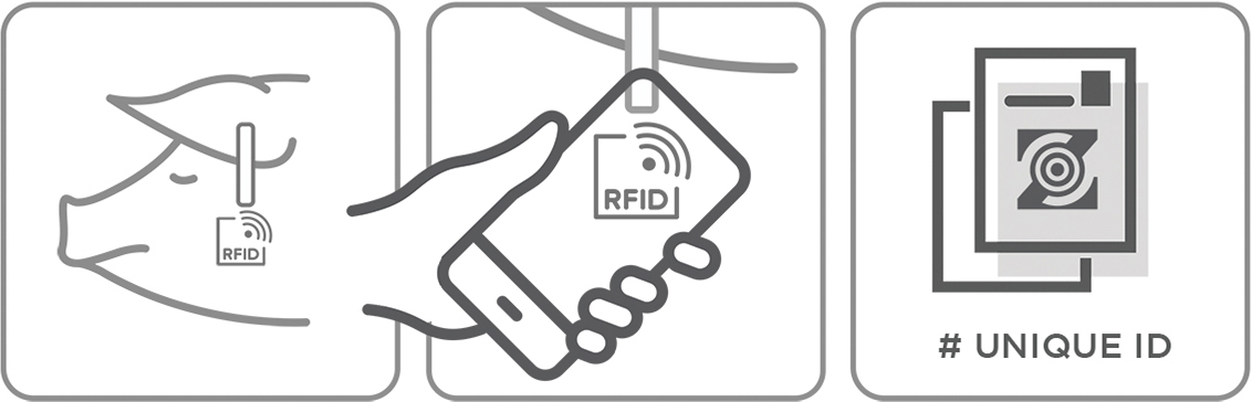 Blockchain solutions for pork traceability and supply chain transparency